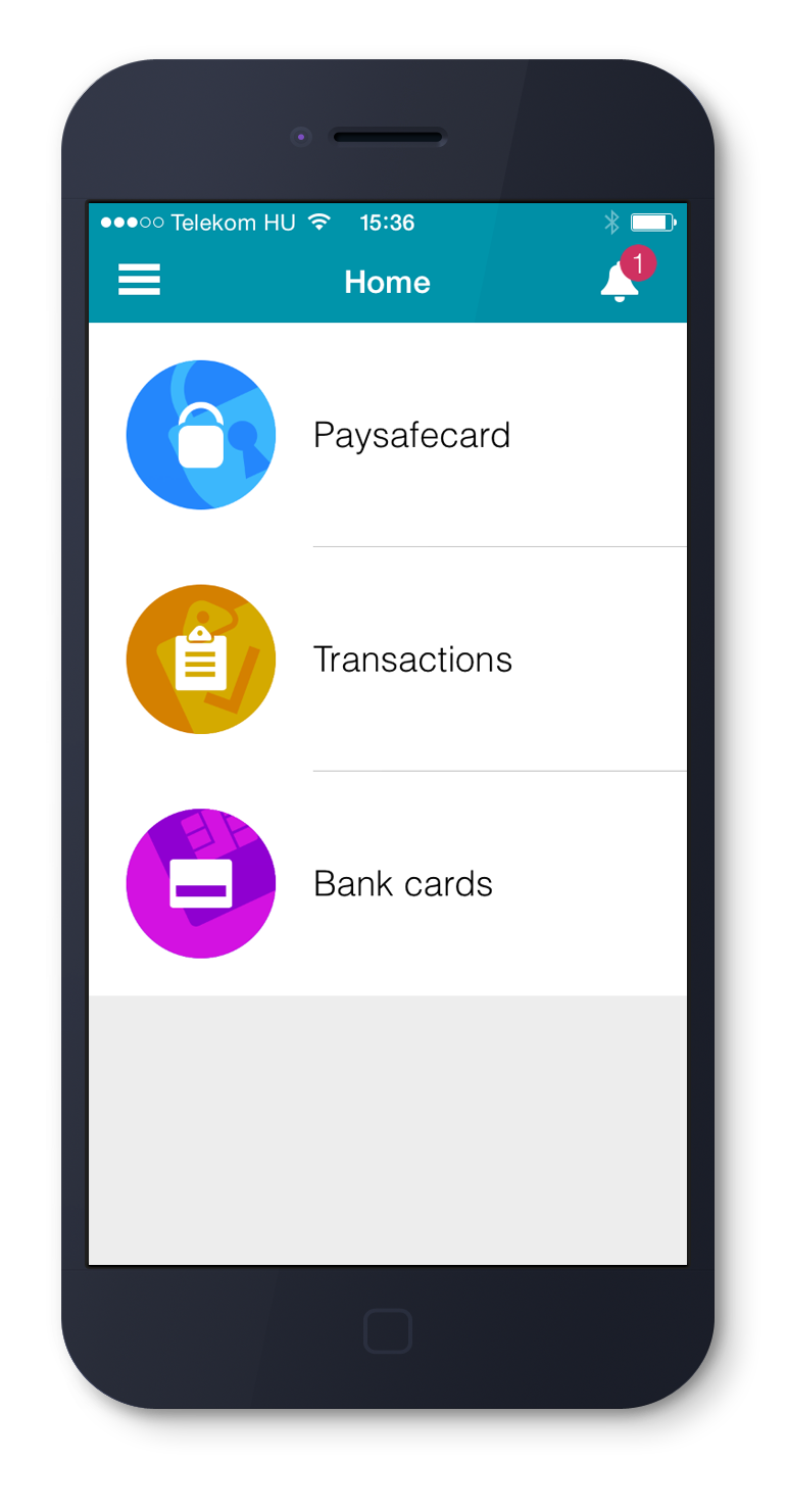 Pay-Station home screen on iOS